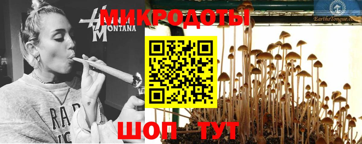сколько стоит  Псилоцибиновые грибы MAGIC MUSHROOMS  Вход с VPN  Выборг 